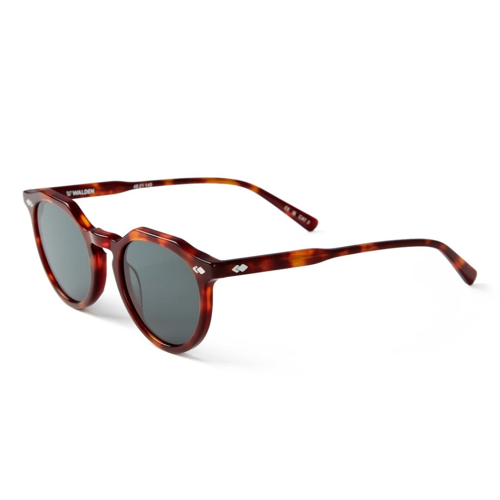New With Tags (NWT) Walden Eyewear Forest Sunglasses in Brown Tort